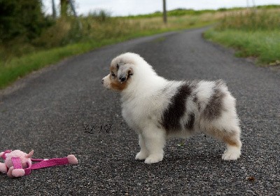 Un tendre amour de la Vallée d'Eska