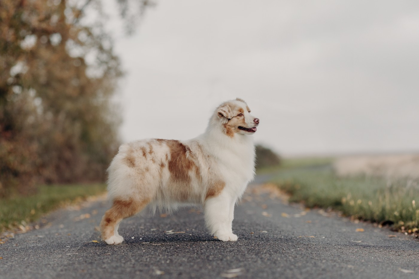 Une de plus De La Vallée D'eska